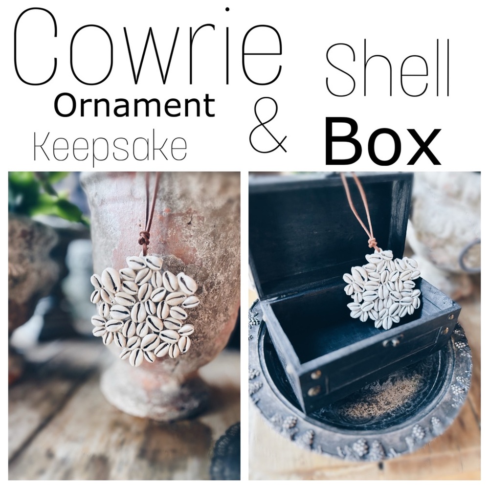 Ornament / Cowrie Shell / Keepsake Box